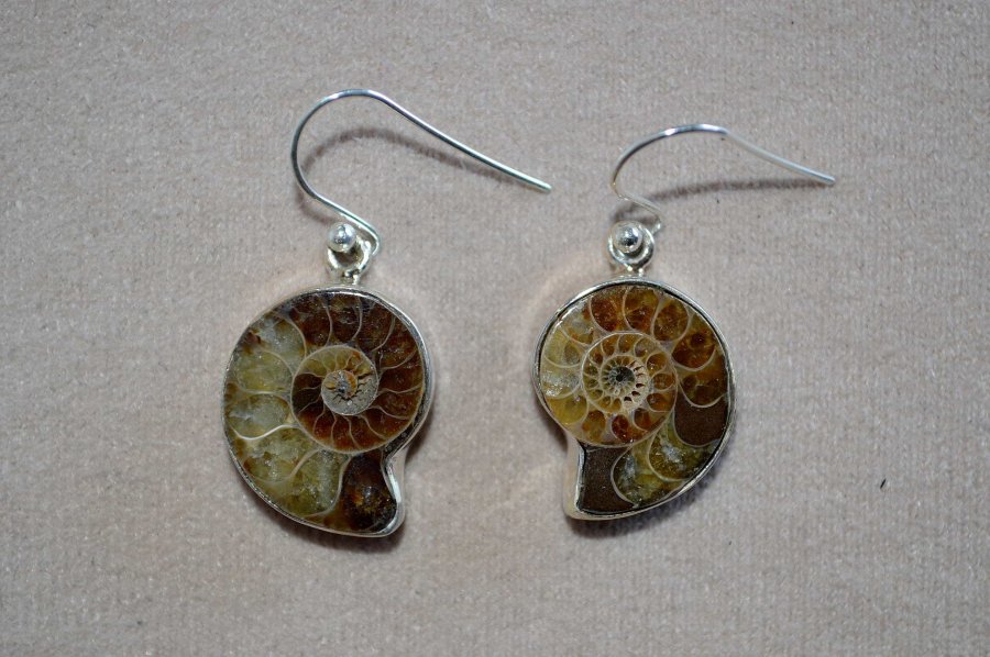 Ammonitesz fülbevaló