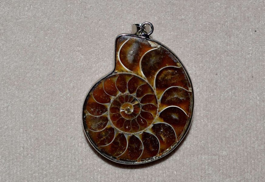 Ammonitesz medál